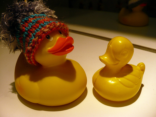 Duck Day 350 (16122009) - Famous Duck