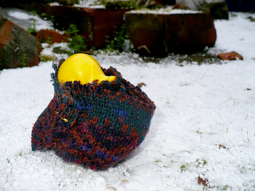 Duck Day 352 (18122009) - Warm in the snow