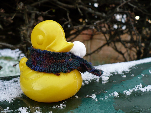 Duck Day 353 (19122009) - Snow ball fight