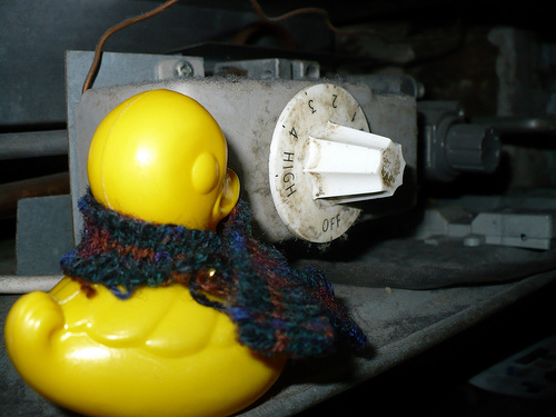 Duck Day 357 (23122009) - Turn the heating up