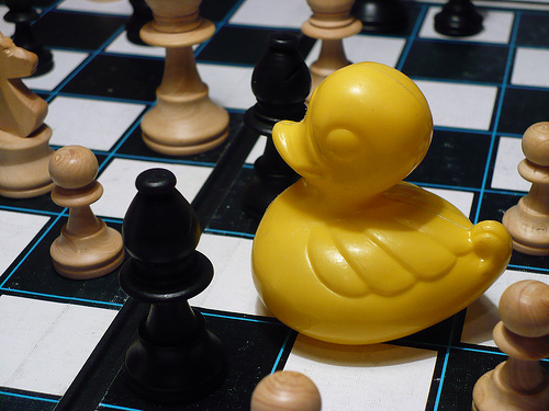 Duck Day 363 (29122009) - Chess