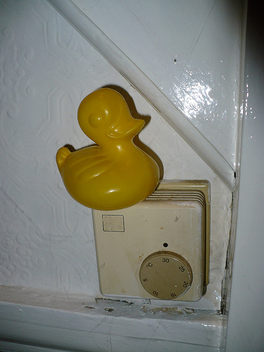 Duck Day 364 (30122009) - Thermostat