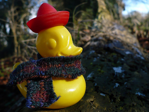 Duck Day 366 (01012010) - Sombrero