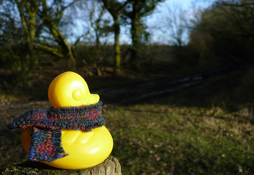Duck Day 367 (02012010) - Exploring