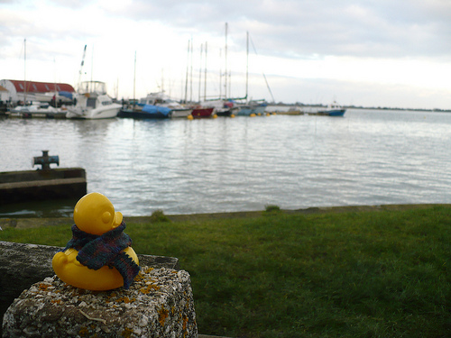 Duck Day 368 (03012010) - Blackwater
