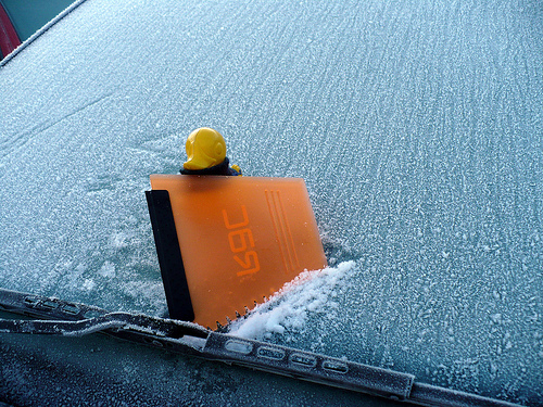 Duck Day 369 (04012010) - Deicing