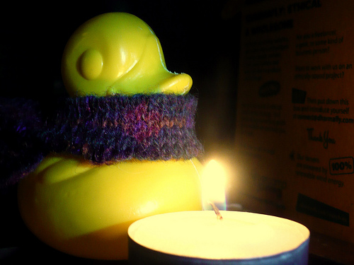 Duck Day 370 (05012010) - Warmth of a candle