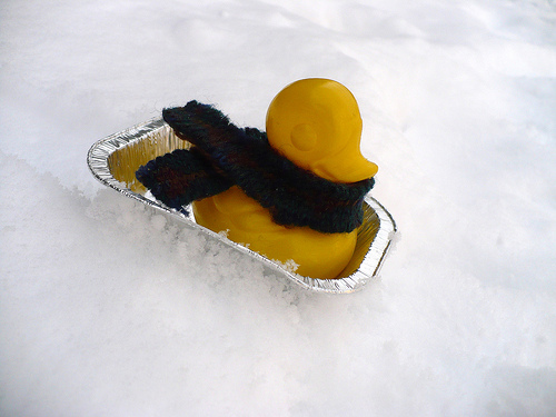 Duck Day 372 (07012010) - Tobogganing