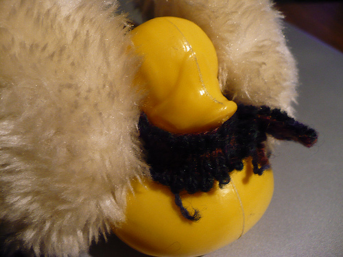 Duck Day 375 (10012010) - Earmuffs