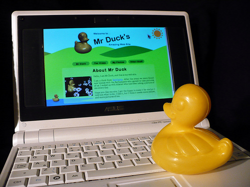 Duck Day 377 (12012010) - My amazing web site