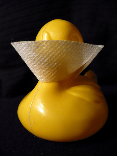 Duck Day 378 (13012010) - No pecking
