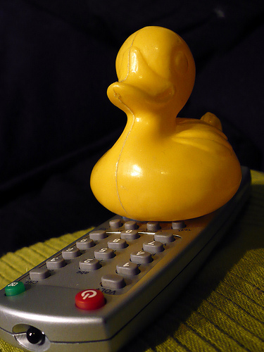Duck Day 380 (15012010) - TV Remote