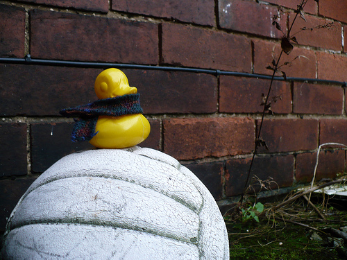 Duck Day 382 (17012010) - Big Football