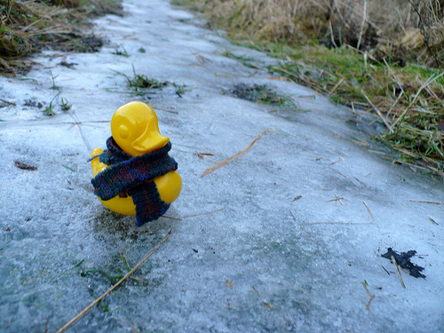 Duck Day 383 (18012010) - Ice skating