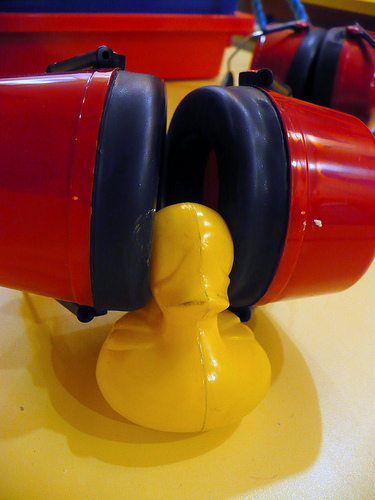 Duck Day 385 (20012010) - Quiet