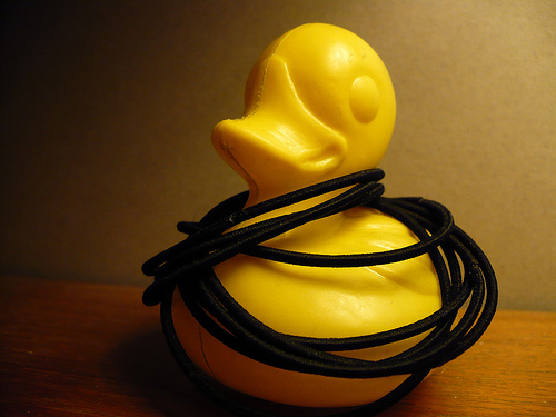 Duck Day 388 (23012010) - Hula hoops