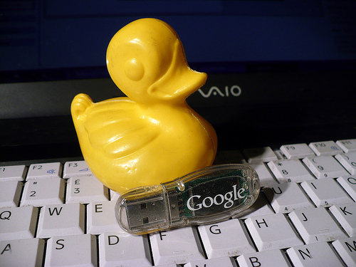 Duck Day 395 (30012010) - Install Google