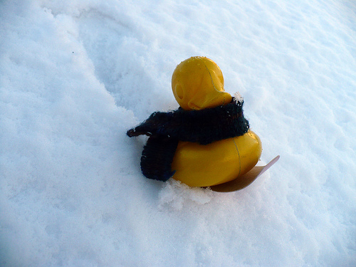 Duck Day 396 (31012010) - Snowboarding