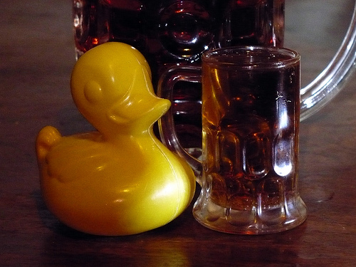 Duck Day 397 (01022010) - A little drink
