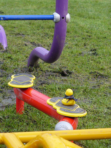 Duck Day 404 (08022010) - Obstacle course