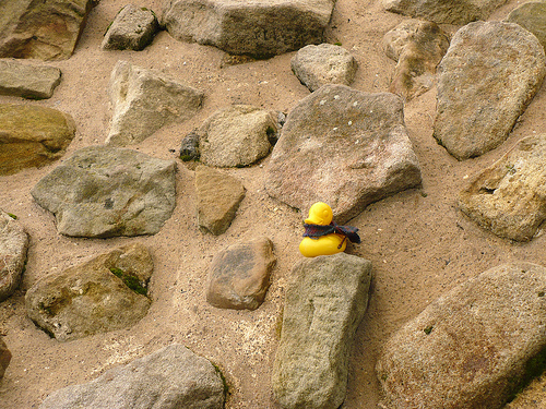 Duck Day 405 (09022010) - Hadrian's wall
