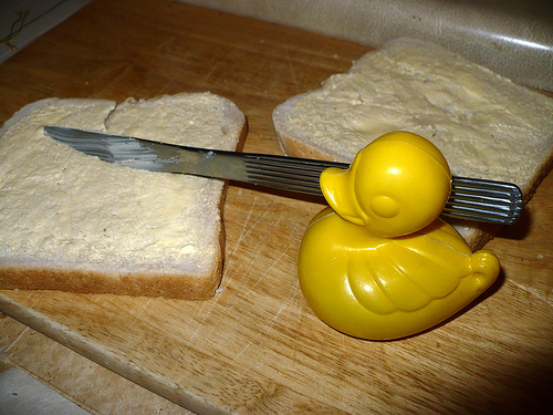 Duck Day 407 (11022010) - Bred and butter
