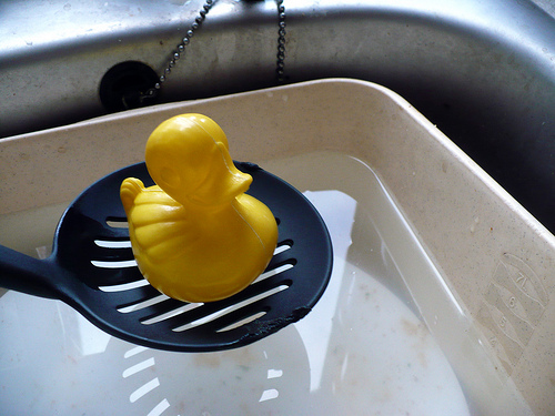 Duck Day 408 (12022010) - Scooped up