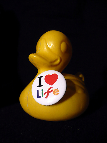 Duck Day 409 (13022010) - I love life