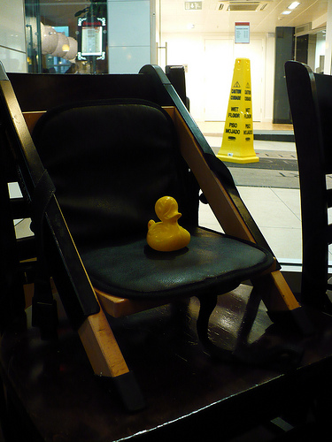 Duck Day 410 (14022010) - Special seat
