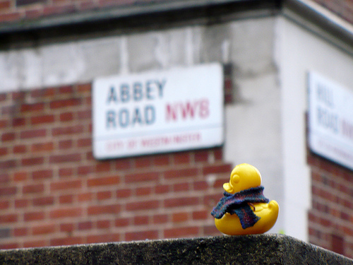 Duck Day 414 (18022010) - Abbey Road