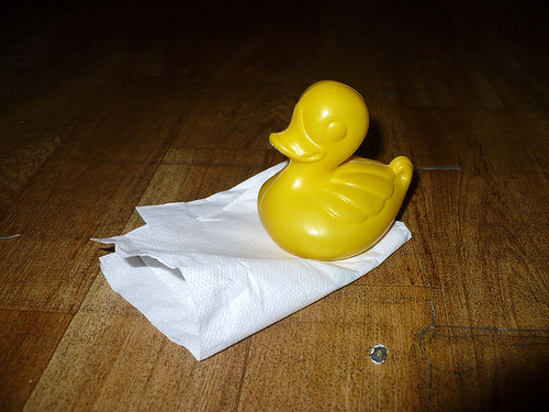 Duck Day 420 (24022010) - Cleaning up