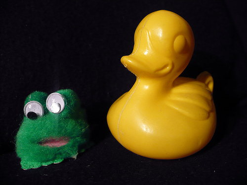 Duck Day 421 (25022010) - It's a frog
