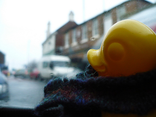 Duck Day 422 (26022010) - Dry in the car