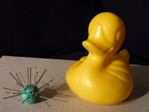 Duck Day 423 (27022010) - Acupuncture