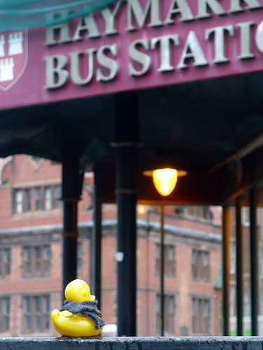 Duck Day 424 (28022010) - At the bus station