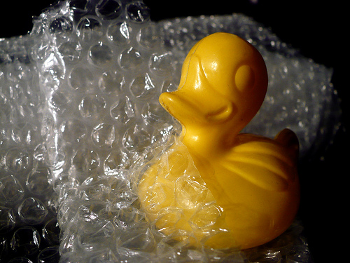 Duck Day 425 (01032010) - Bublewrap
