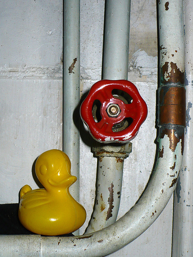 Duck Day 427 (03032010) - Pipes