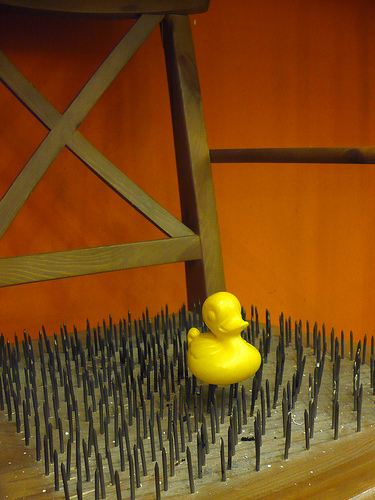 Duck Day 428 (04032010) - Uncomfortable seat