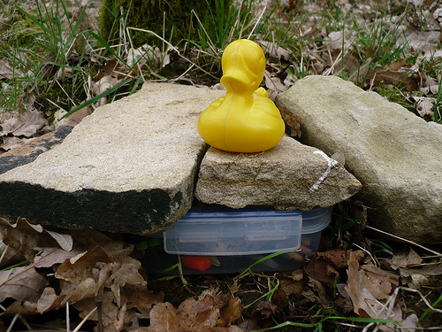 Duck Day 447 (23032010) - Geocaching