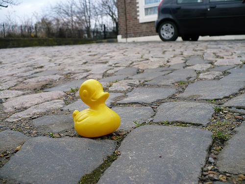 Duck Day 448 (24032010) - Cobbles