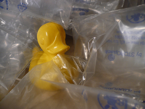 Duck Day 450 (26032010) - Packing