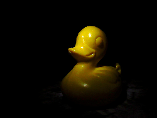 Duck Day 451 (27032010) - Earth Hour
