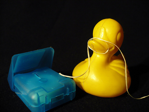 Duck Day 454 (30032010) - Flossing