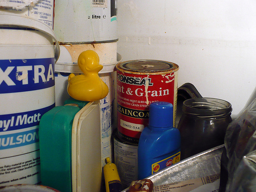 Duck Day 457 (02042010) - In the cupboard