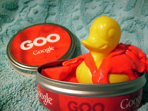 Duck Day 46 (15022009) - Google Goo