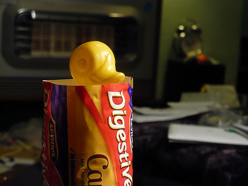 Duck Day 460 (05042010) - Caramel Digestives