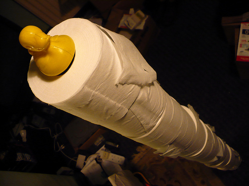 Duck Day 461 (06042010) - Toilet roll tower