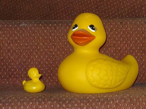 Duck Day 464 (09042010) - Mother duck