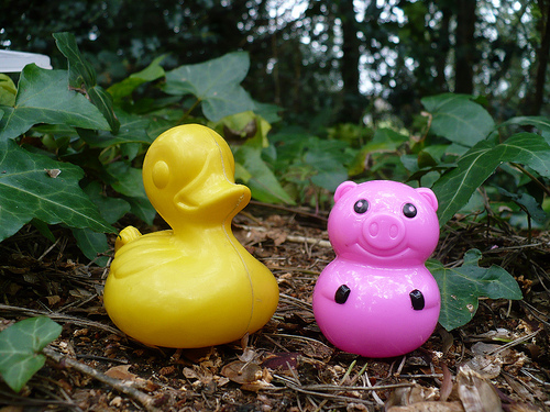 Duck Day 466 (11042010) - My new pink friend