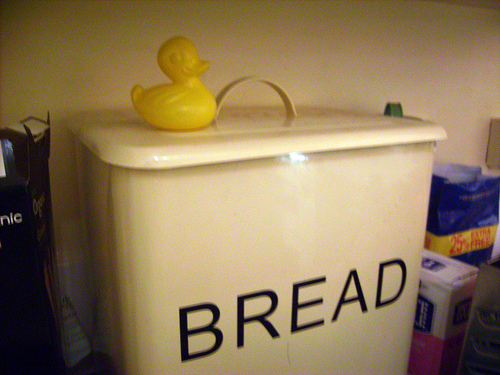 Duck Day 47 (16022009) - Big bin of bread